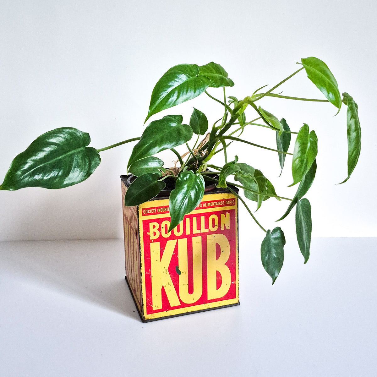 Ancienne boite Bouillon Kub
